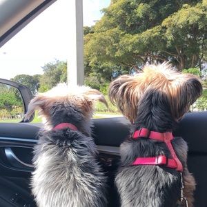 Meet your Posher, Katherine